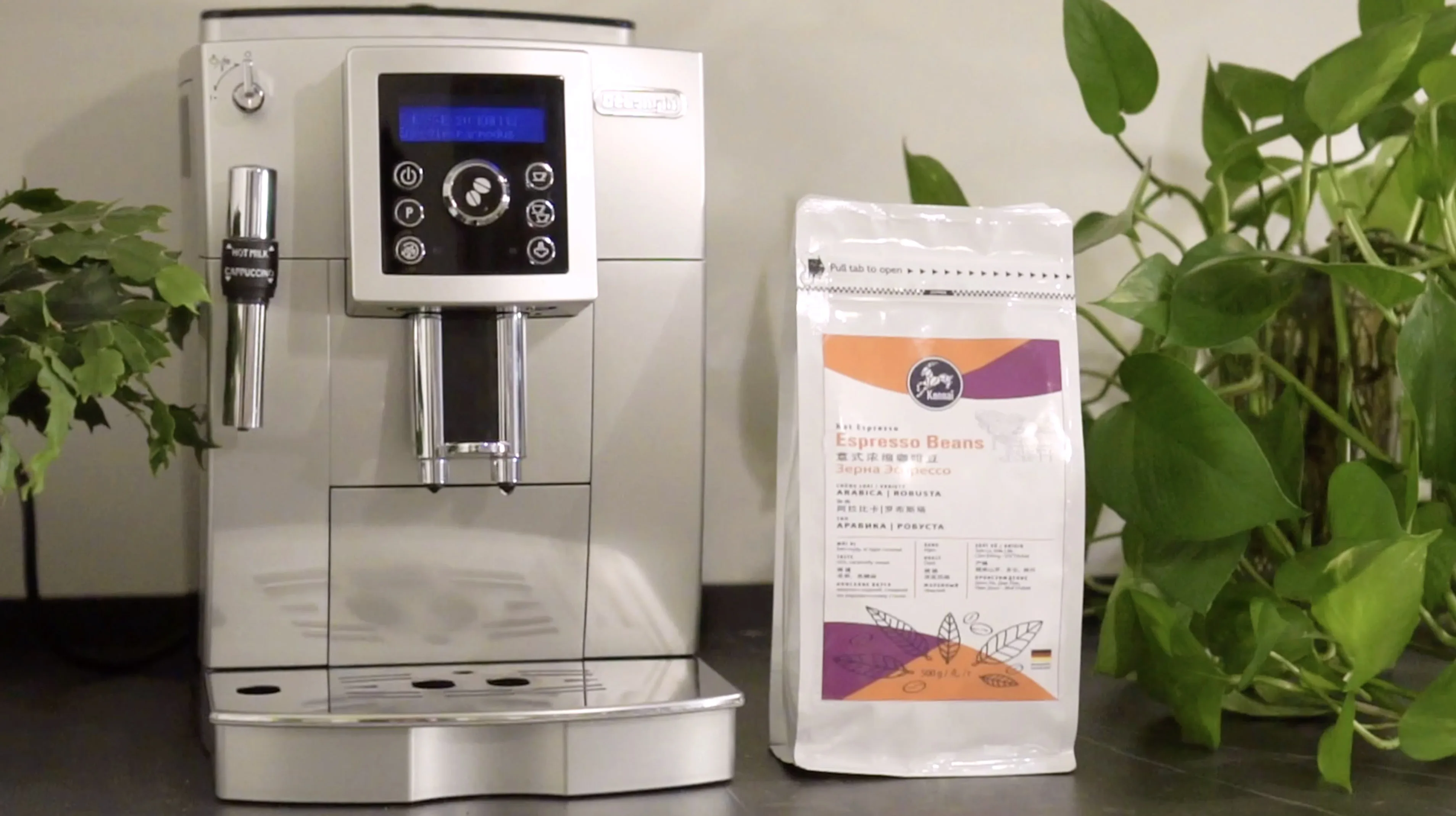 Hight quality of Commercial Konnai Espresso bean from Viet Nam