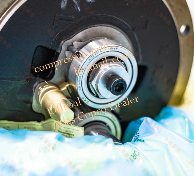 Genuine 1616677070 Atlas Copco with SKF Bearing