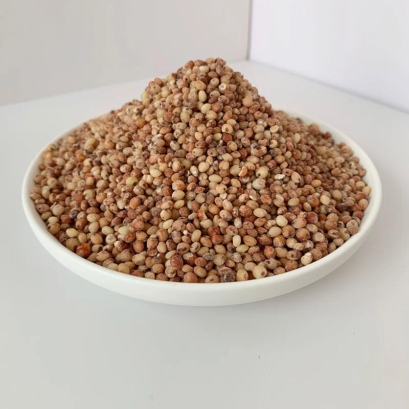 High quality sorghum rice factory price for a large number of wholesale