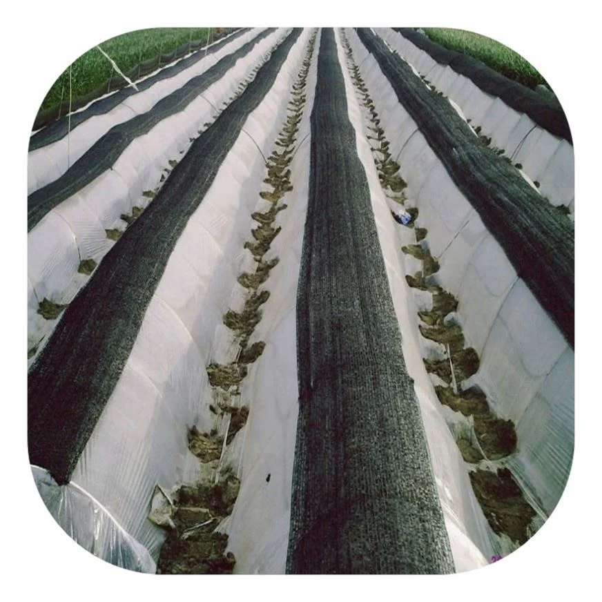 Professional Shade Cloth Shade Net 30% With Low Price 2X10M Sun Shade Net