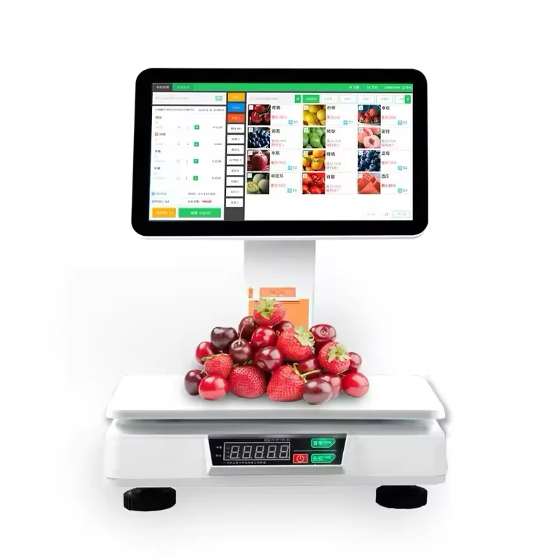 Cheap Price 2+32GB Win-dows7 POS System 15.6+14 Inch Dual Screen Retail All In One Pos Machine with Printer and Scale