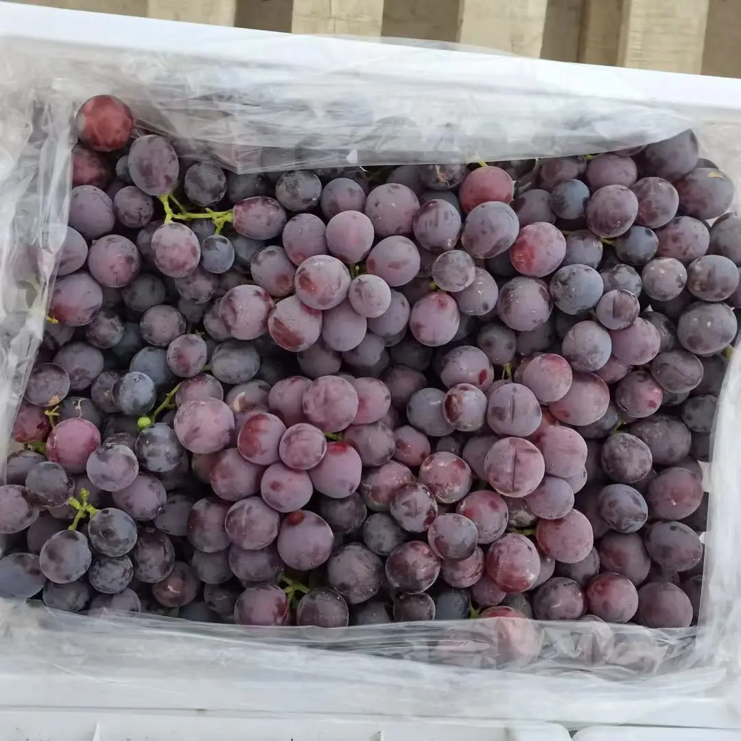 Сыпучий органический Вкусный сладкий свежий виноград для экспорта
