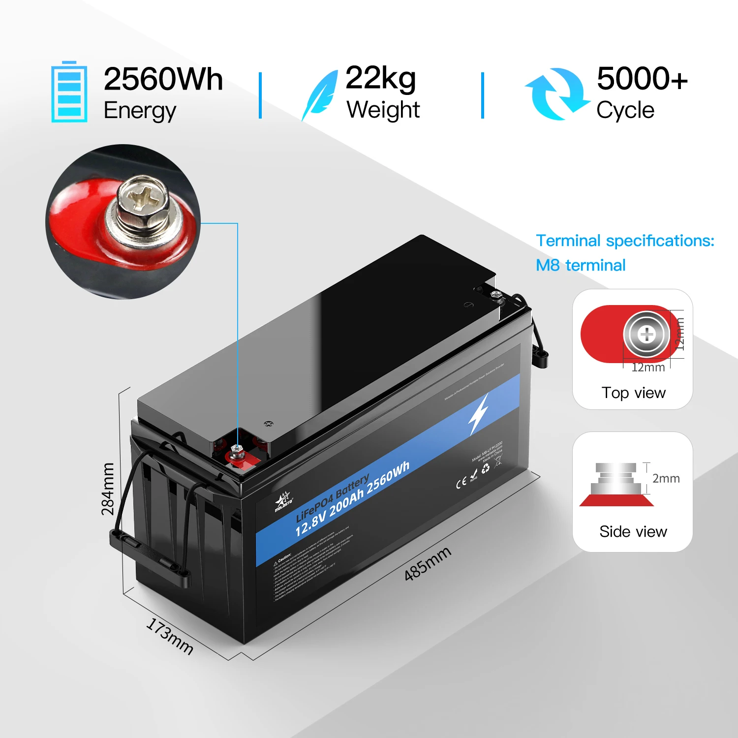 12v 200ah Lifepo4 Battery 12v lithium battery Deep Cycle Lithium Iron Phosphate Battery With Bms
