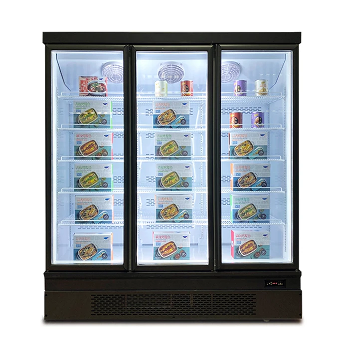 Plug In System Multipurpose Freezer Commercial Glass Door Display Refrigerator for Frozen Food