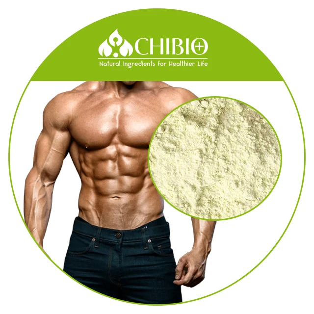 
Pure Textured Pea Protein Concentrate Isolate Powder for Fat Binder Plant-Based Meat 