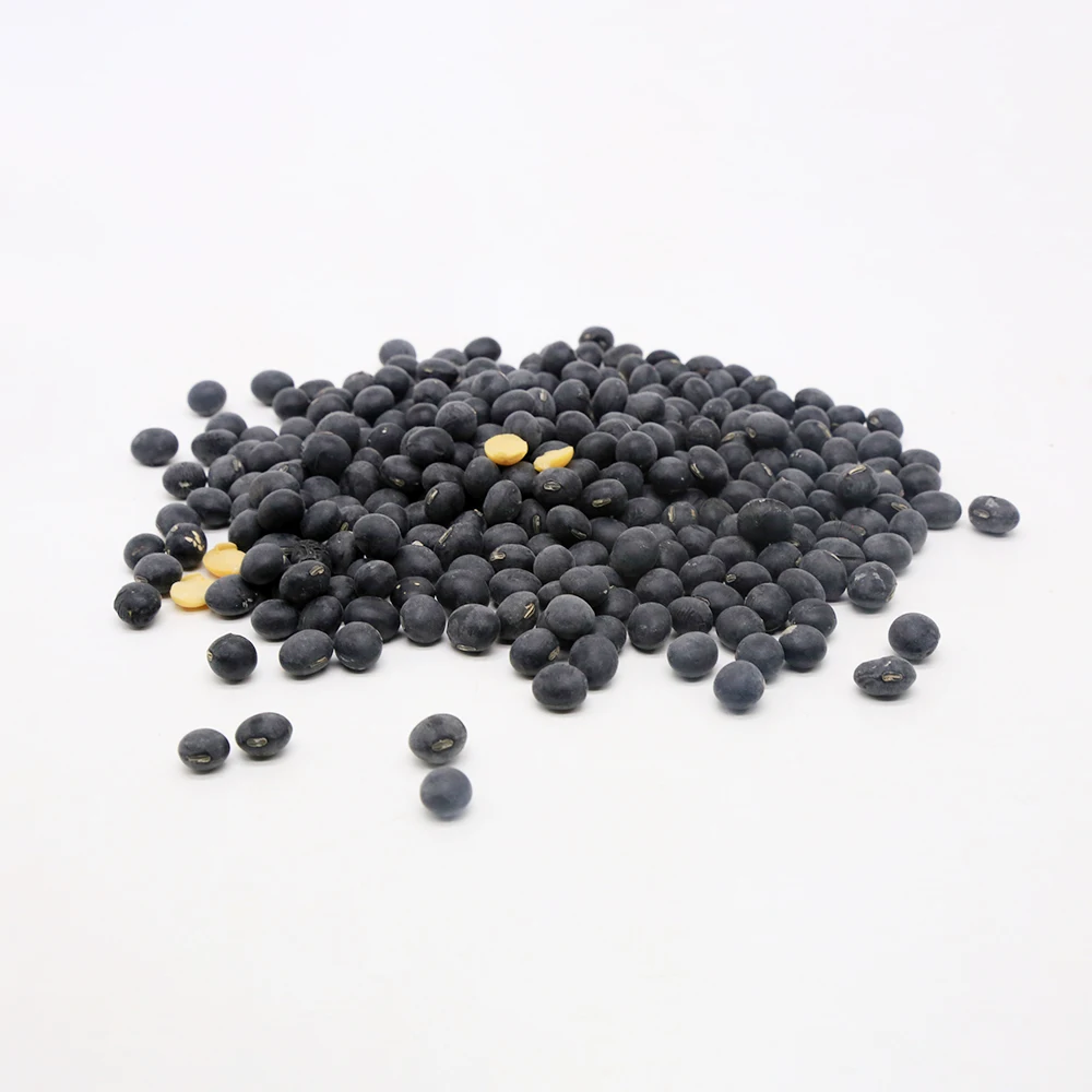 Top Sale Guaranteed Quality Natural Authentic Black Bean Packaging