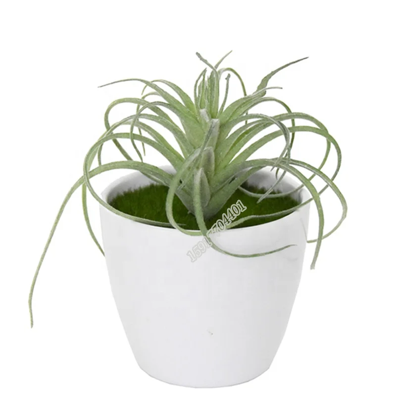 Factory sale plastic succulent fake grass tillandsia artificial plants for home decoration