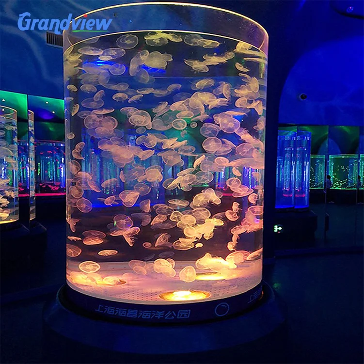 Grandview transparent cylinder acrylic decoration aquarium fish tank