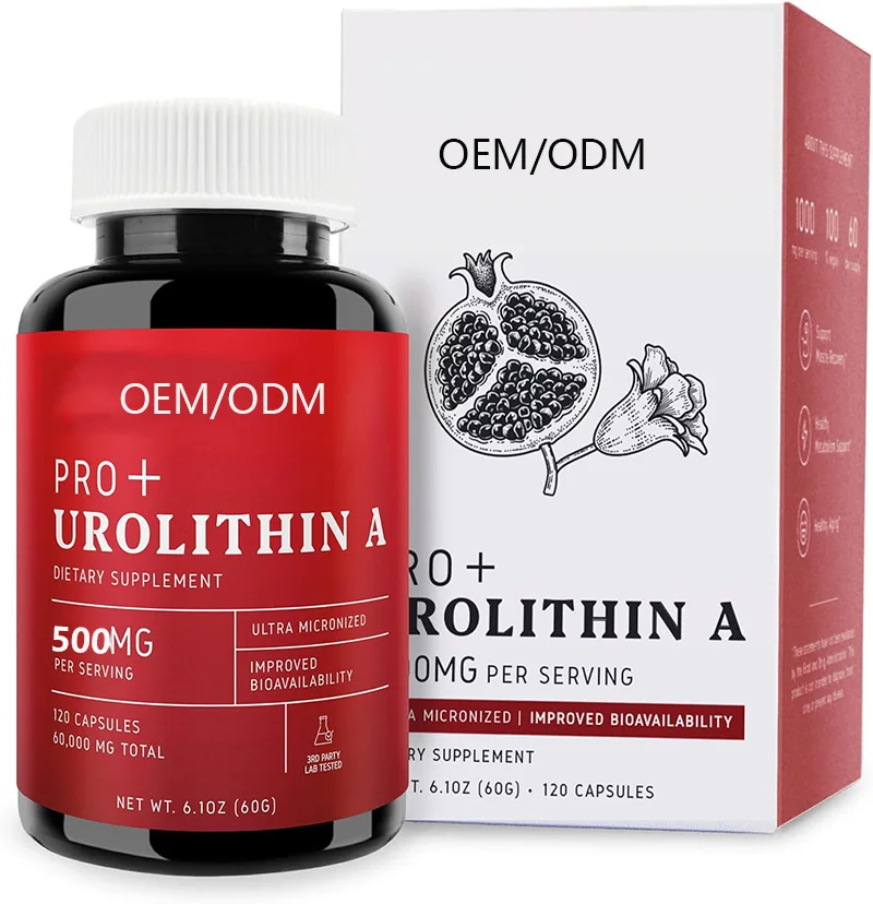 High Potency 500mg Urolithin a capsules Endurance Recovery Tonic Supplement for Adults Not for Pregnant Women