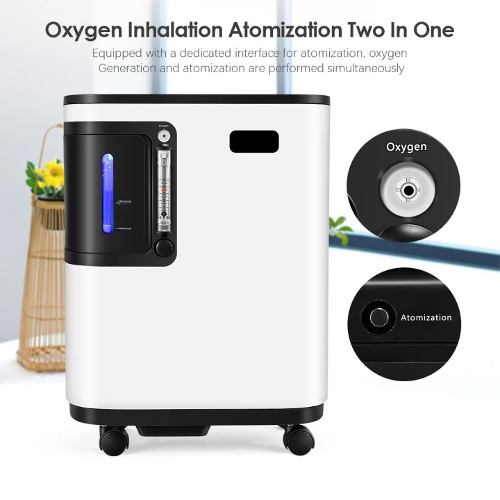 High appearance level multi-function can control oxygen generator