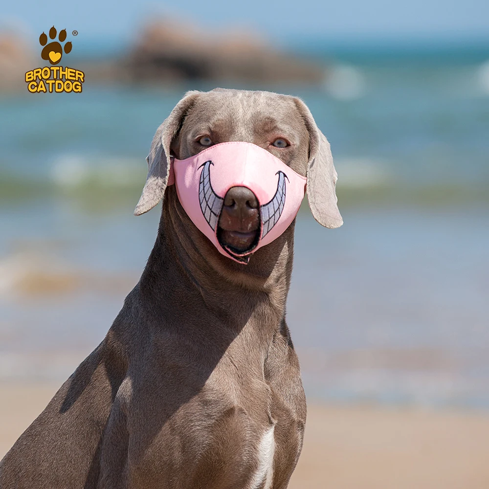 High-end dog muzzle for biting wholesale best