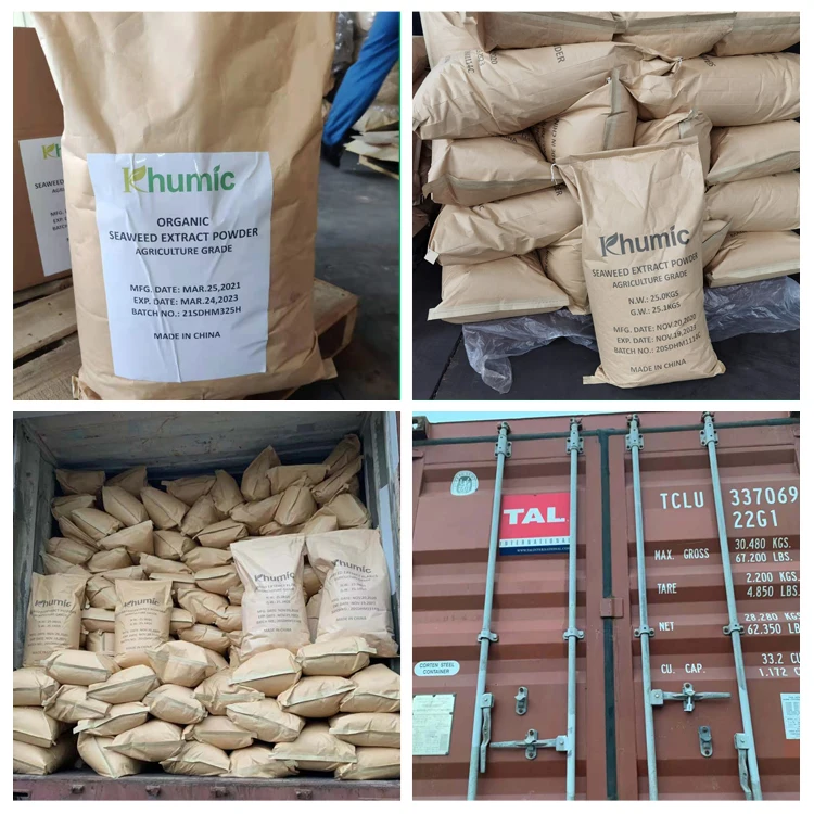 manufacturer supply 100% water soluble  kelp source Alga seaweed extract fertilizer