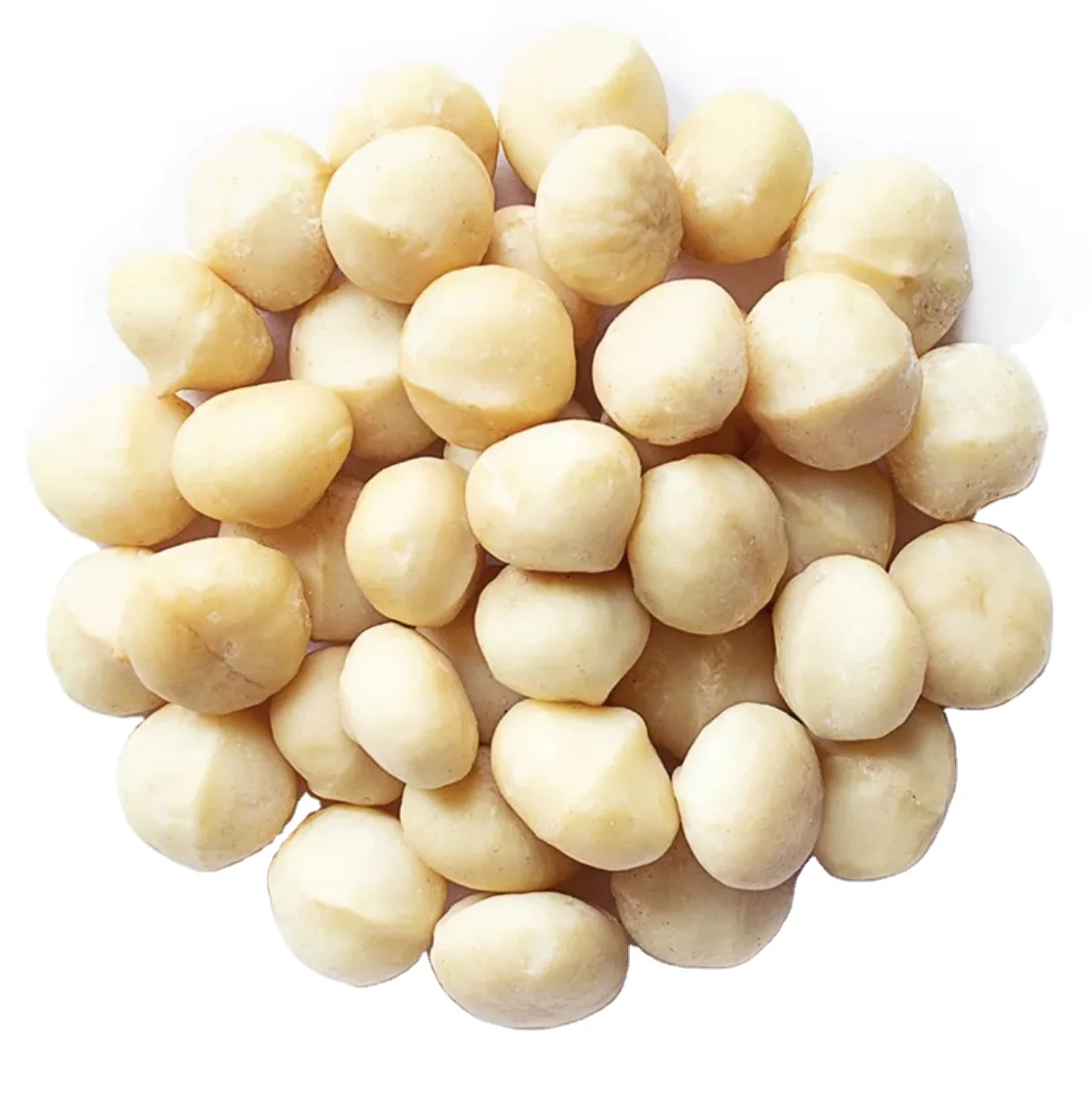 macadamia australia macadamia peladora prix des noix de macadamia