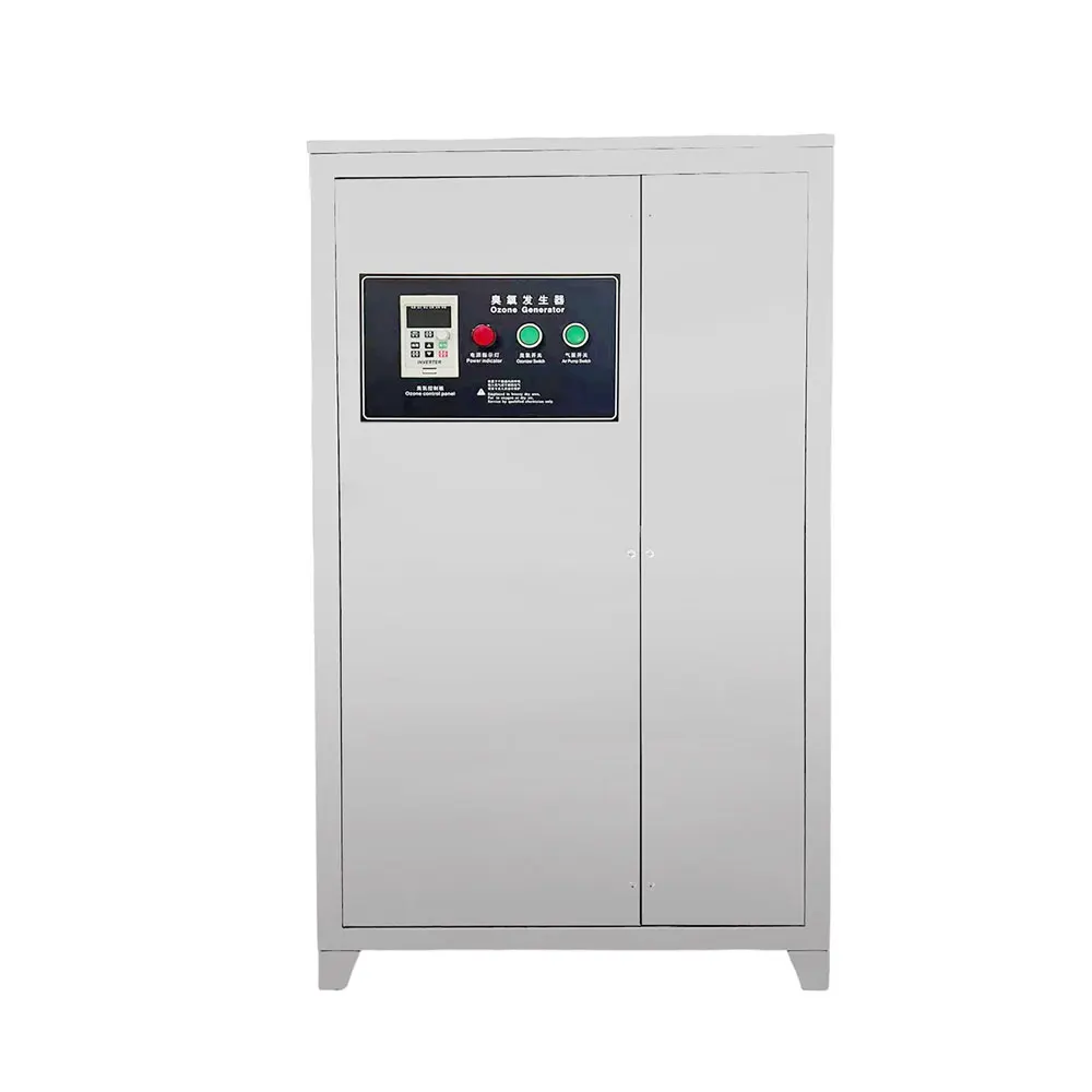 China manufacturer ozone system 10-1000g customized ozone generator for aquarium