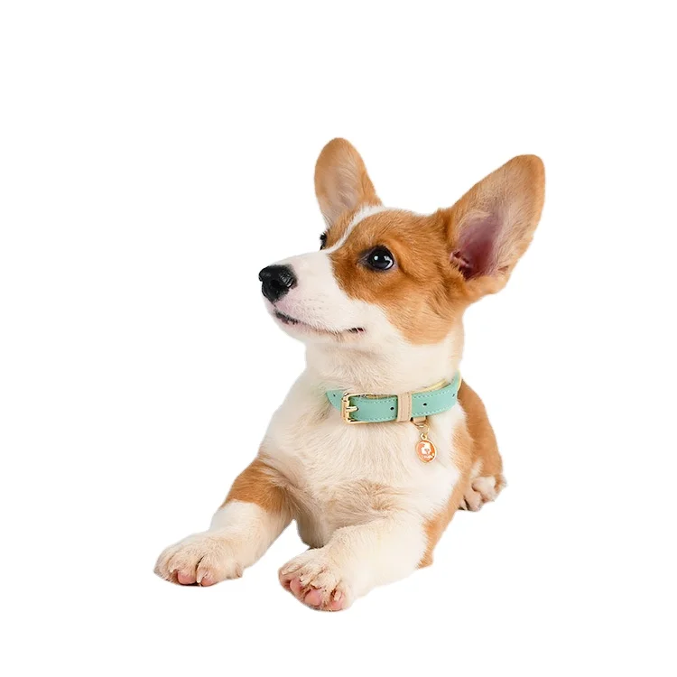 Waterproof Luxury Dog Collar Leather Adjustable Metal Buckle Custom Leather Pet Cat Dog Collar & Lead Wholesales