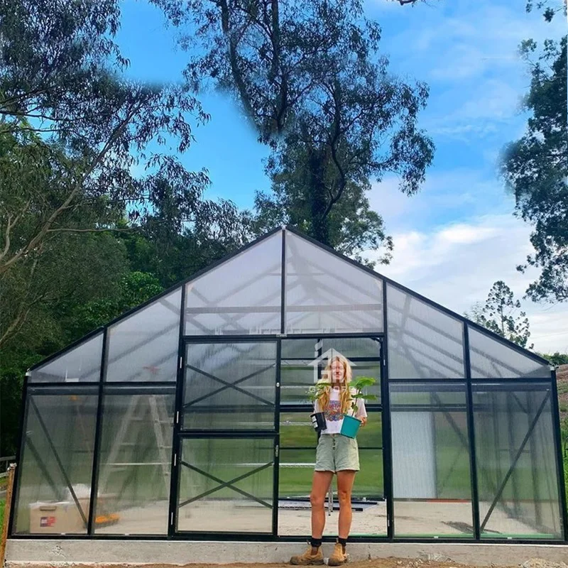 
 G-MORE одиночный пролет коммерческое Green House сельскохозяйственные теплицы 12x5 метров  G-MORE одиночный пролет коммерческое Green House сельскохозяйственные теплицы 12x5 метров