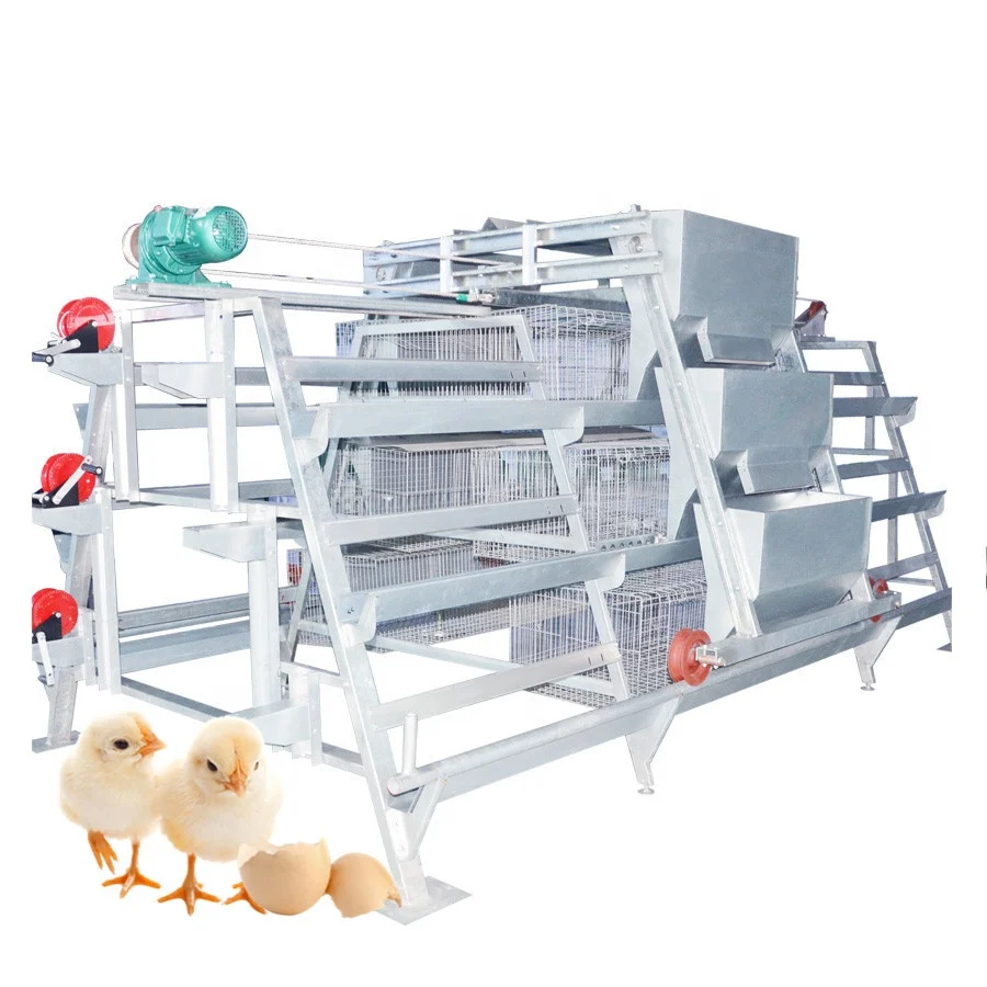 Automatic Pullet Baby Chicken Battery Cage for Day Old Layer Chicks