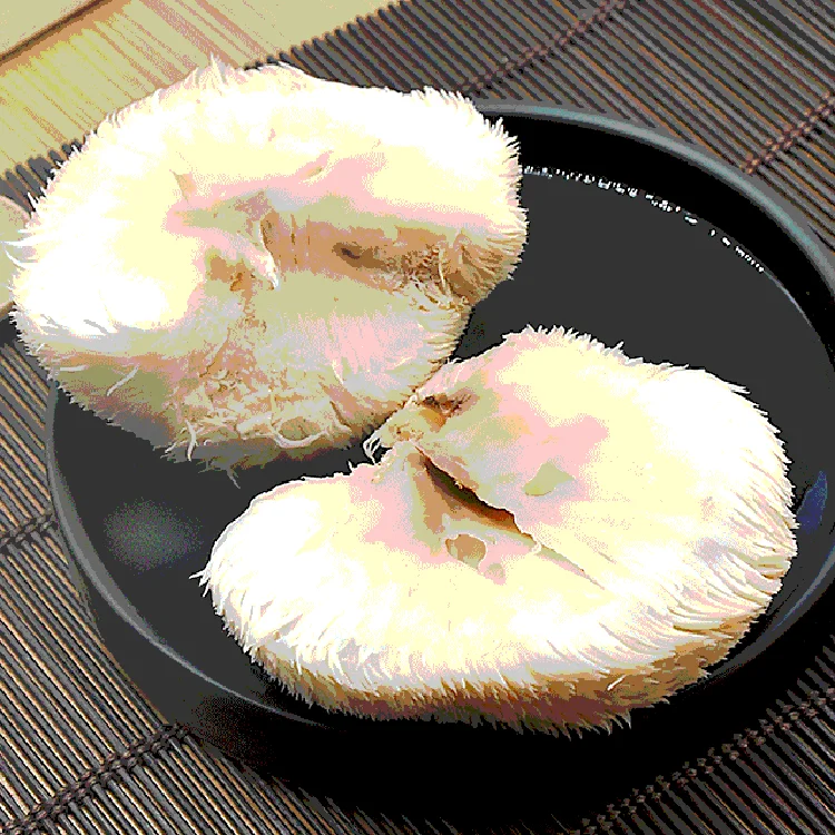 Factory Hot Sales Natural Mushroom Bulk Hericium Erinaceus Dried Lion Mane Hericium