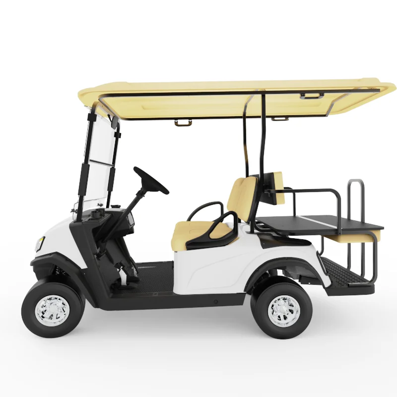 Машинка для гольфа на заказ, 2 пассажира