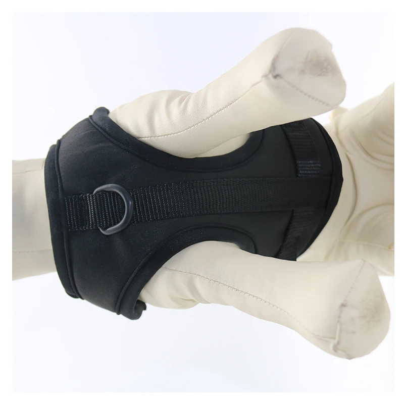 Small Dog & Cat Escape-Proof Breakaway Soft Neoprene Harness Leash Set Western Style Personalized Pattern Collar Type Collars