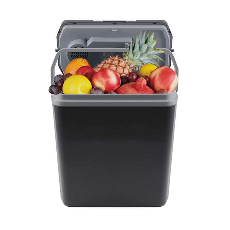 Dc 12v Classic Economical Version Car Thermoelectric Cooler 24 L Mini Fridge Ce