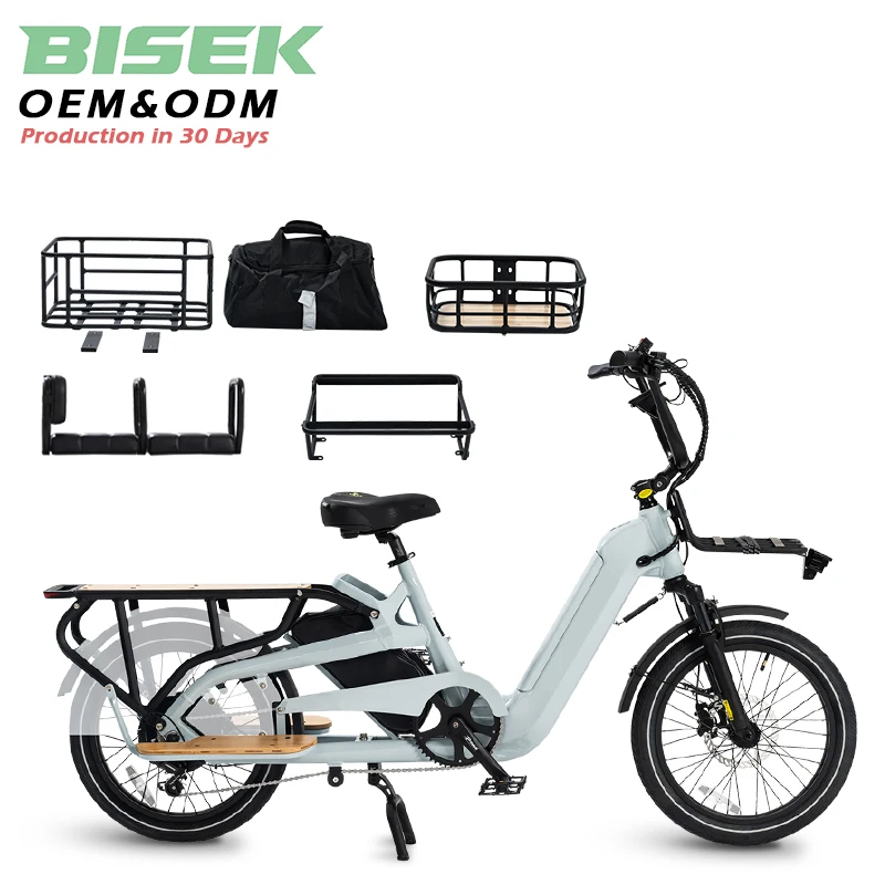 OEM Electric Cargo Bike with Pedal Bicicleta Elettrica Aluminum Alloy Frame 48v Voltage 250w Motor Power