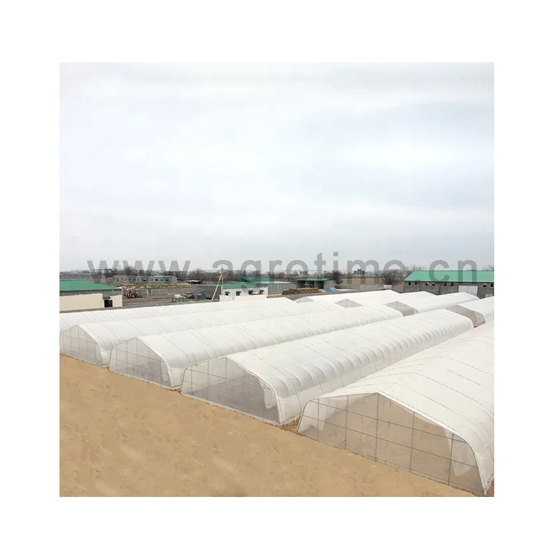 Strong packing poly tunnel hobby greenhouse commercial agricultural green house with vertical tower hydroponic growing system