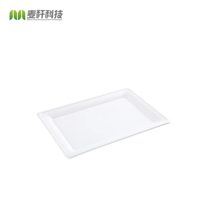 Disposable Biodegradable ODM oill proof Plate Dishes Tableware Natural Sugarcane Bagasse Sublimation sauce Paper Plates Dishes