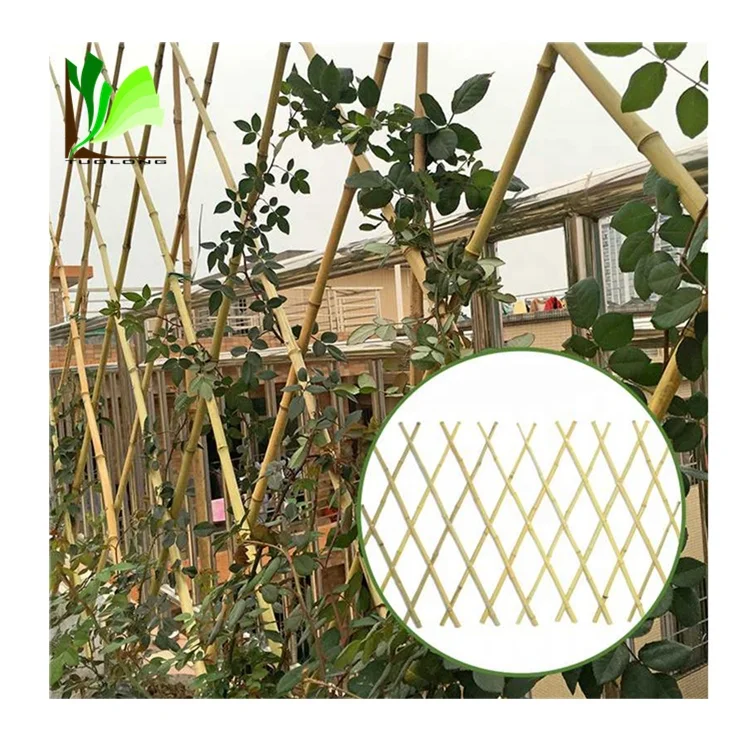Natural Bamboo Folding Fence for Garden Decoration