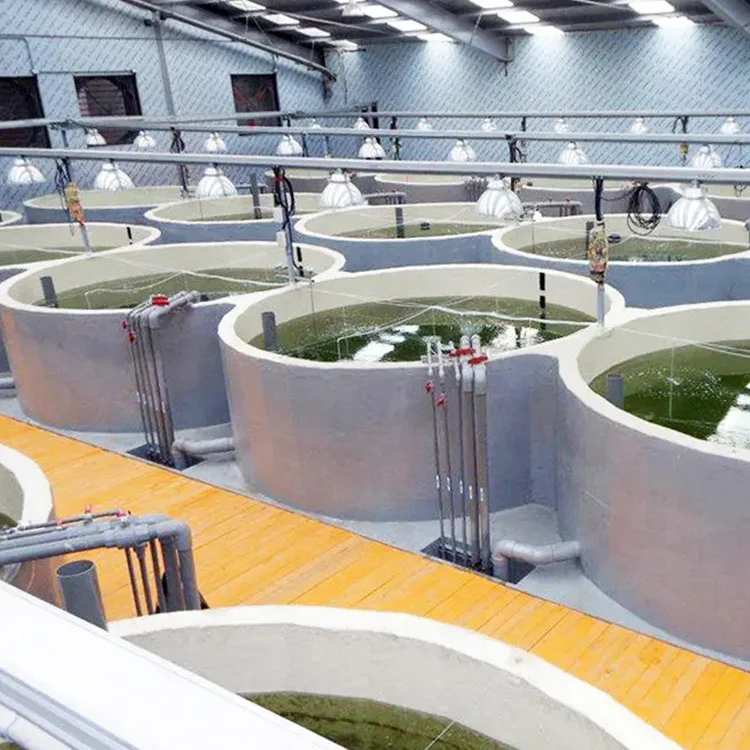recirculating aquaculture system fish farm indoor aquaculture equipment for shrimps