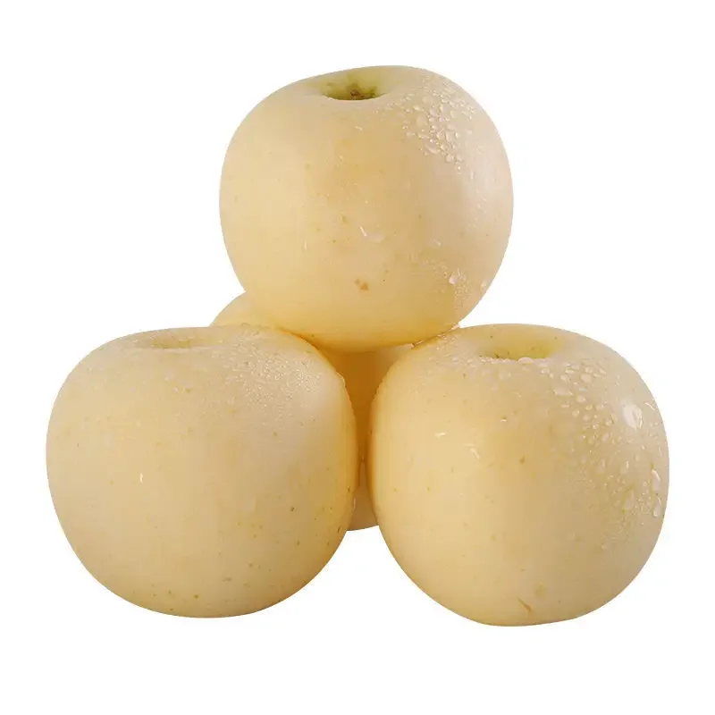 Wholesale  fresh fruits Yellow Golden red Fuji apples Pink lady apple