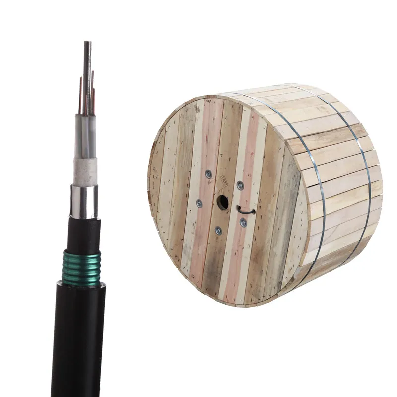 OEM Outdoor Waterproof Double sheath armored anti rodent 12 core GYTA53 fiber optic cable price per meter