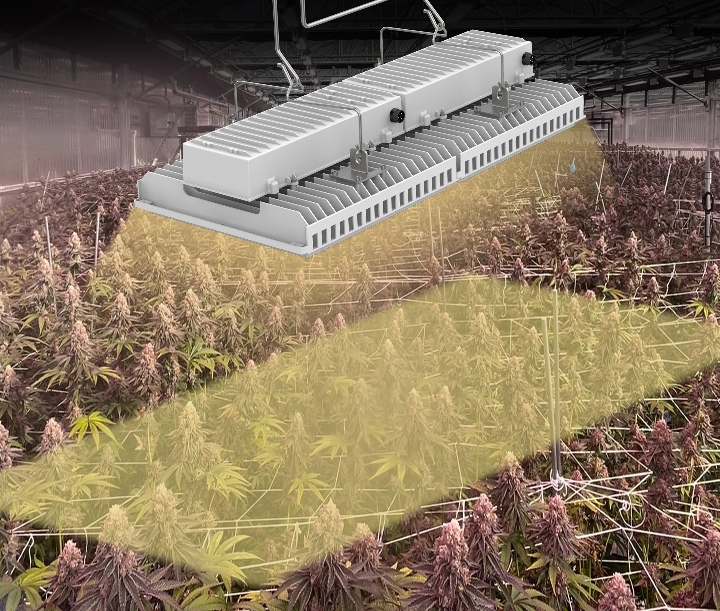 luxgrow top lighting indoor Greenhouse LED Grow Light 800w 1200w OSRAM chip 100-277V for growing medical plant