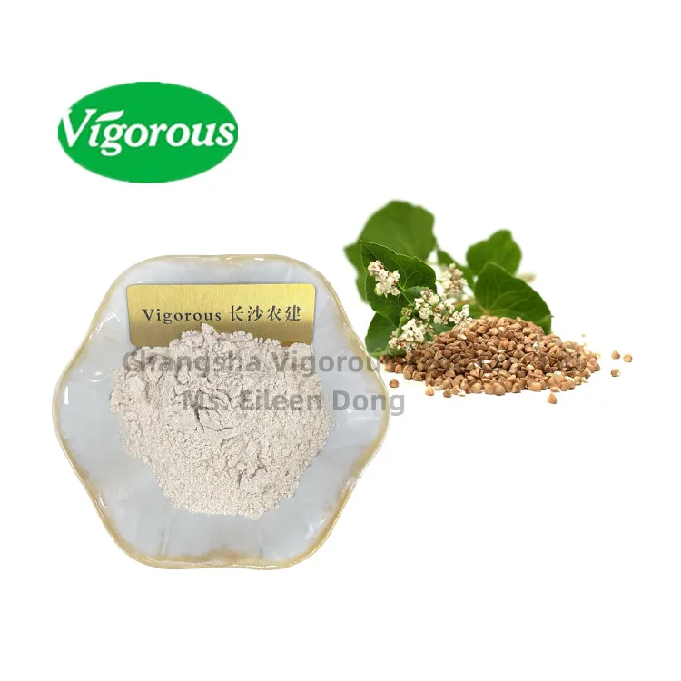 100% Natural Baking Ingredient Hot sale Fagopyrum esculentum Super food Organic Buckwheat Flour Gluten-Free