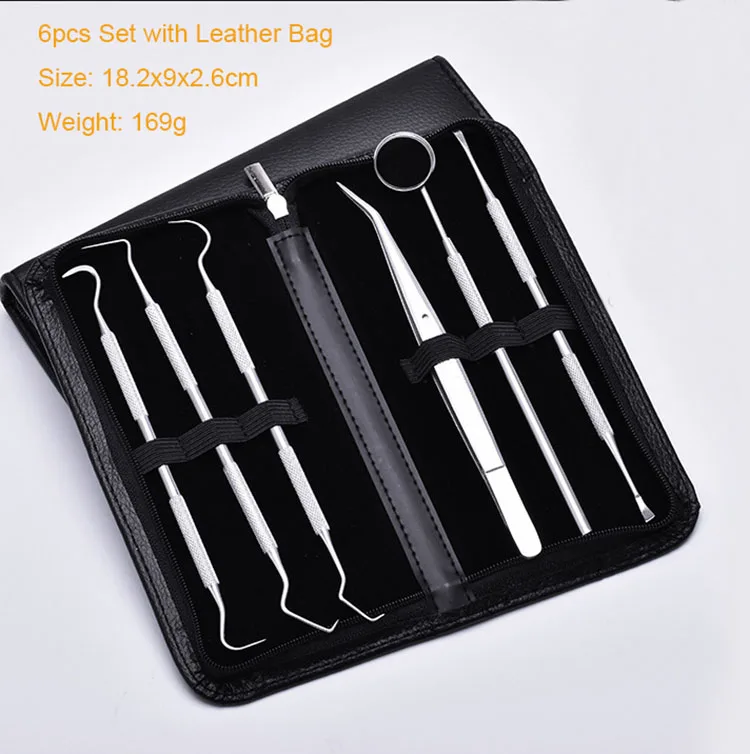 Wholesales High-end Stainless Steel  Professional Beauty Personal Care Dental Hygiene Kit for Home Use Tools