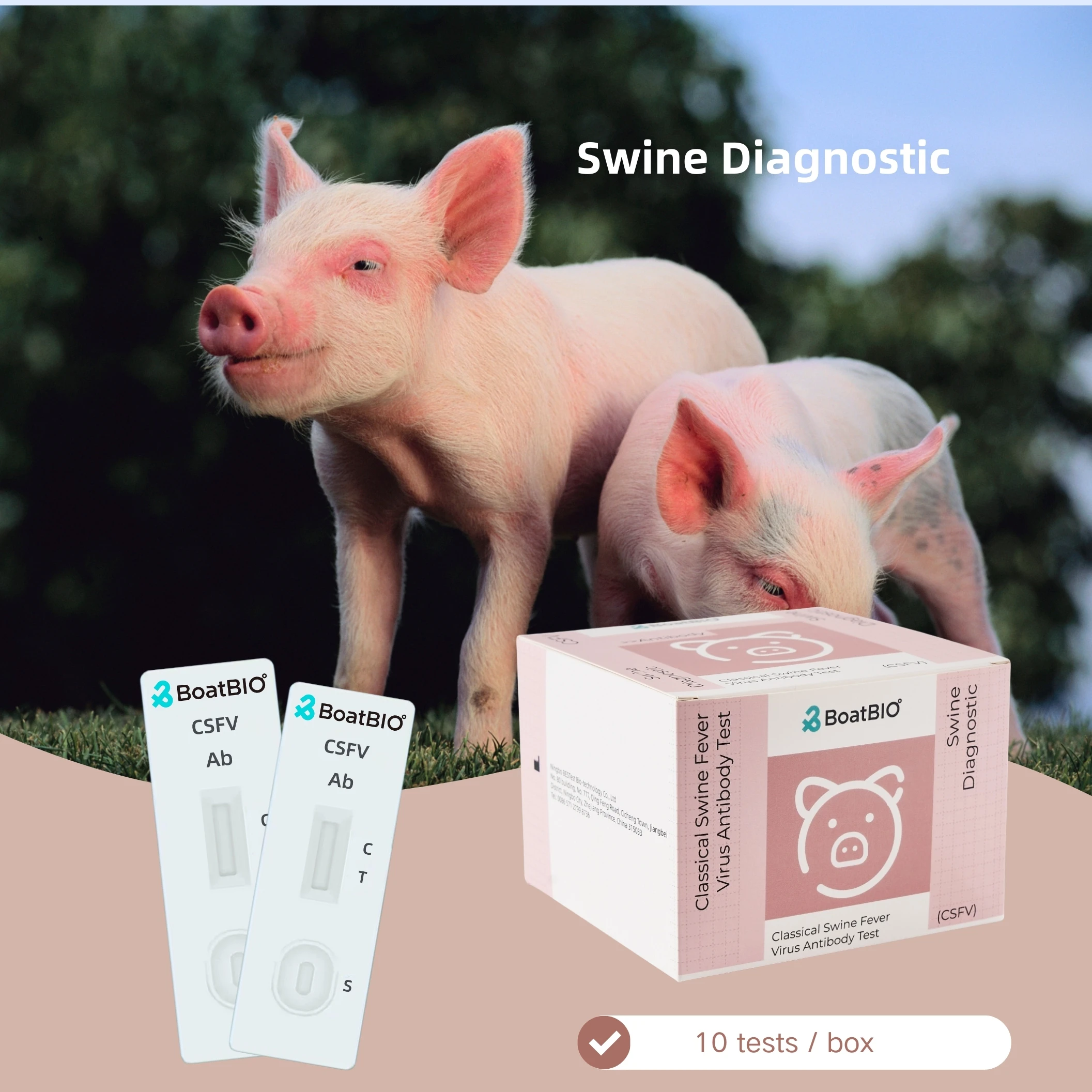 Quality Guaranteed Veterinary Diagnostic Pig Rapid Test Card CSFV Ab Rapid Test Kit