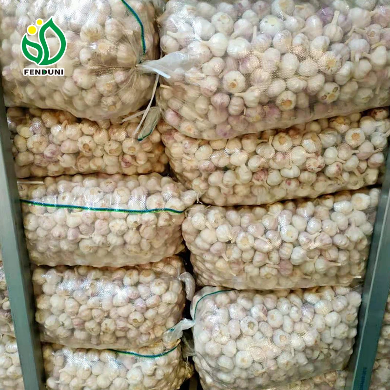 New Season Fresh Garlic From China