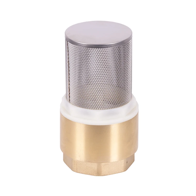 China Foot Valve non-return valve swing vertical lift foot ball spring check valve thread pressure