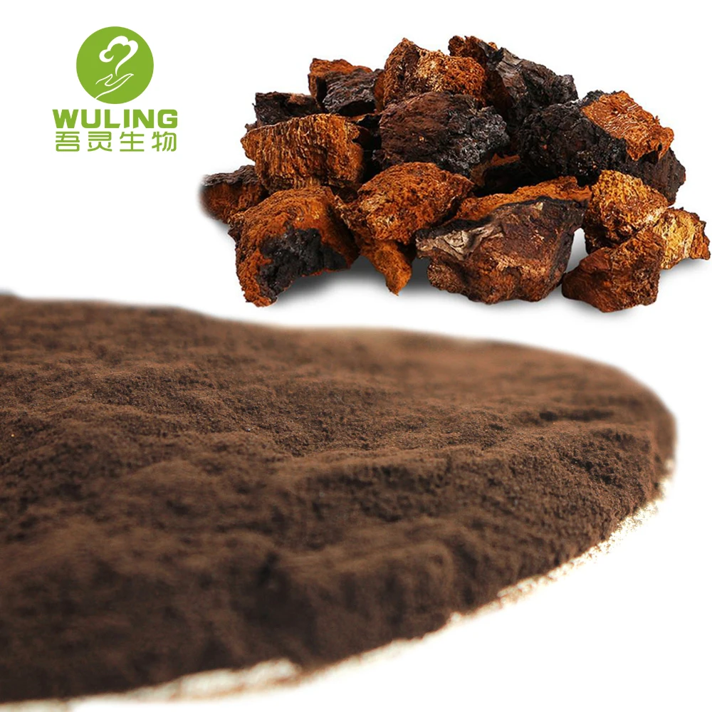 Порошок экстракта грибов Чаги от производителя