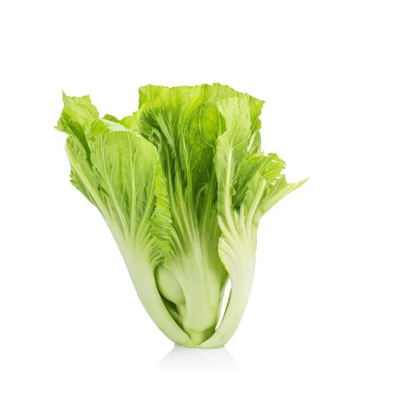 Китайские высококачественные гибридные F1 горчичные Семена овощей