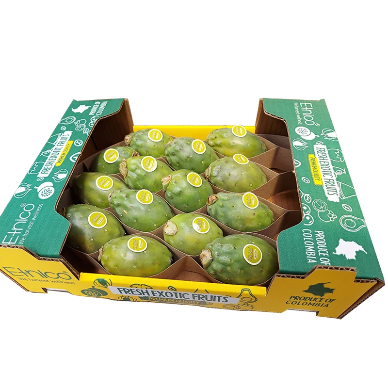 Big Sale Cactus Fig Cactus Pear Pricky Pear Fresh Fruit Supplier