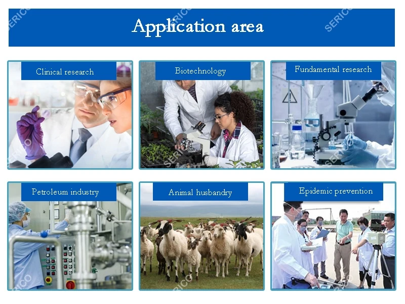 20211703 N-300M -6.jpg