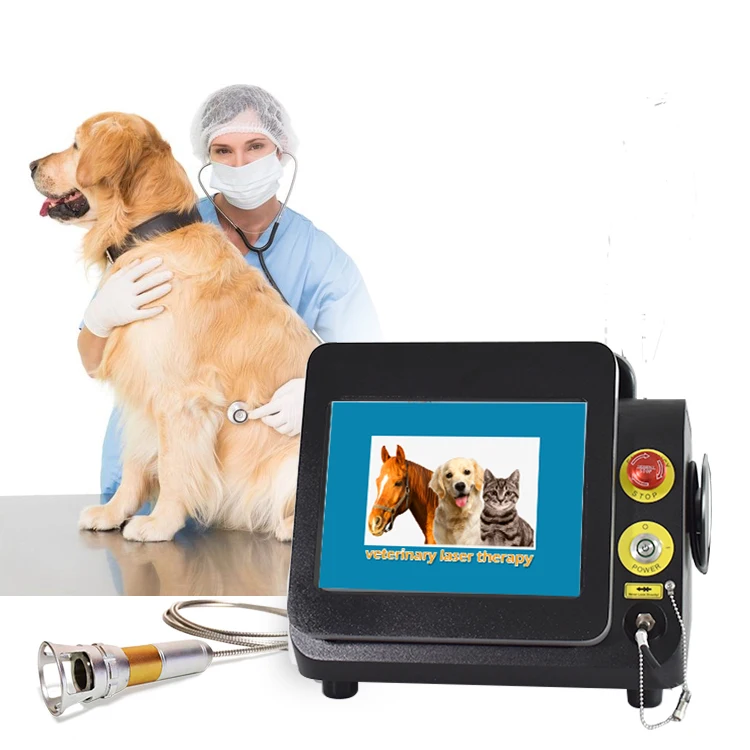 Veterinary Laser Class 4 30w Physiotherapy Equipement 980nm Diode Lazer Surgical