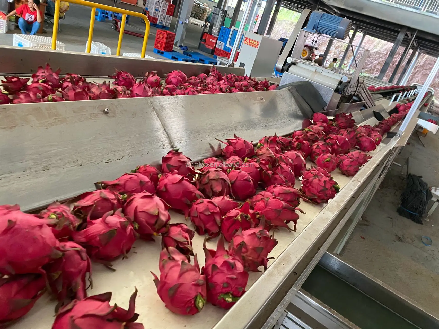 pu belt conveyor (5).jpg