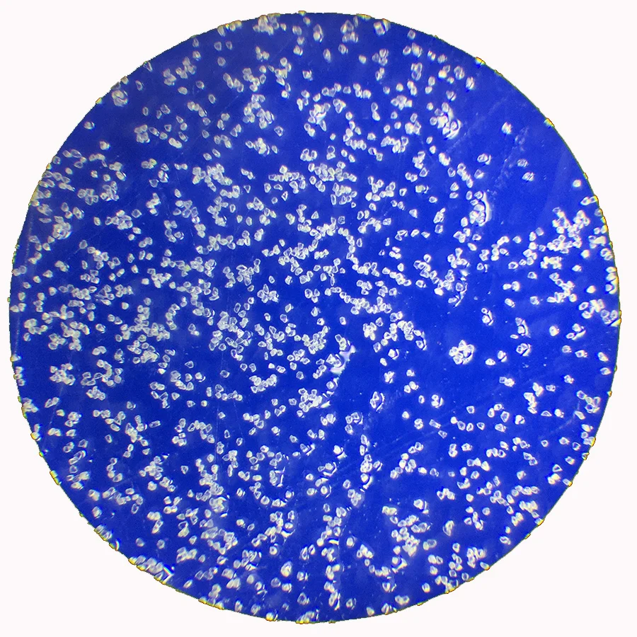 Wholesale Micron Size Diamond Dust Industrial Rvd Diamond Powder for Carbide Polishing