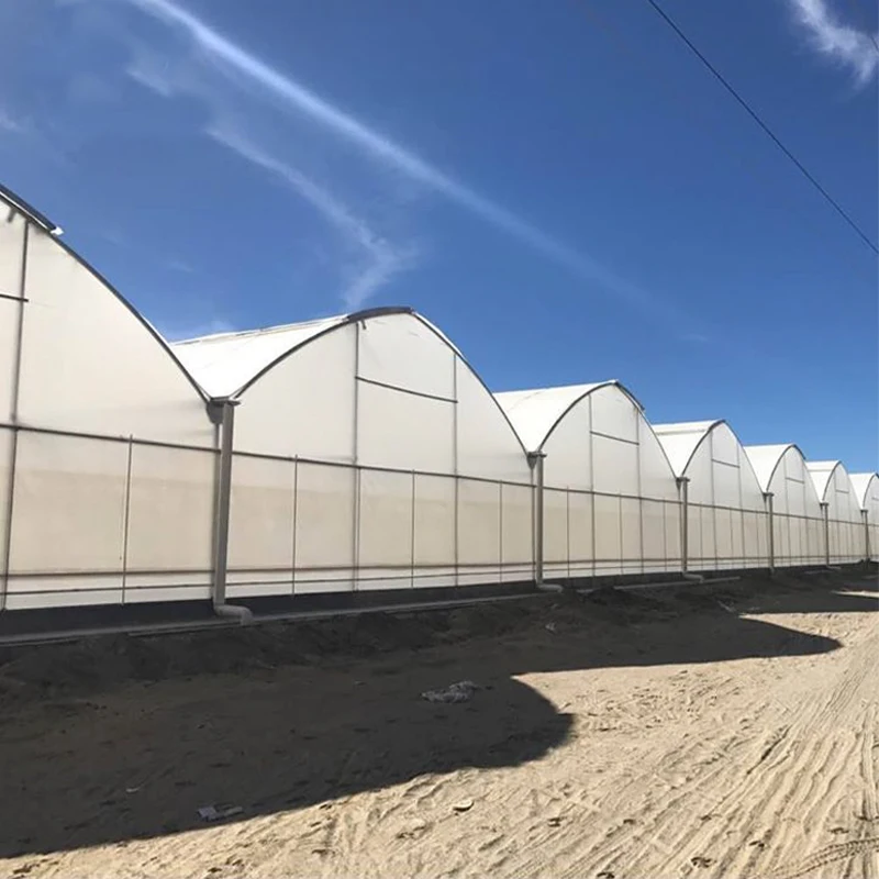Wholesale polyethylene film greenhouse gutters cooling system multi-span film greenhouse for plants