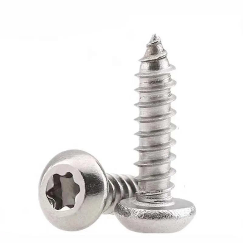 SS Rust Proof Thread Forming Torx Self-Tapping Screw