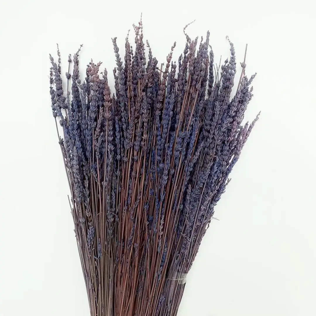 ins hot sale  high quality dried wreath lavender bunches with good smell