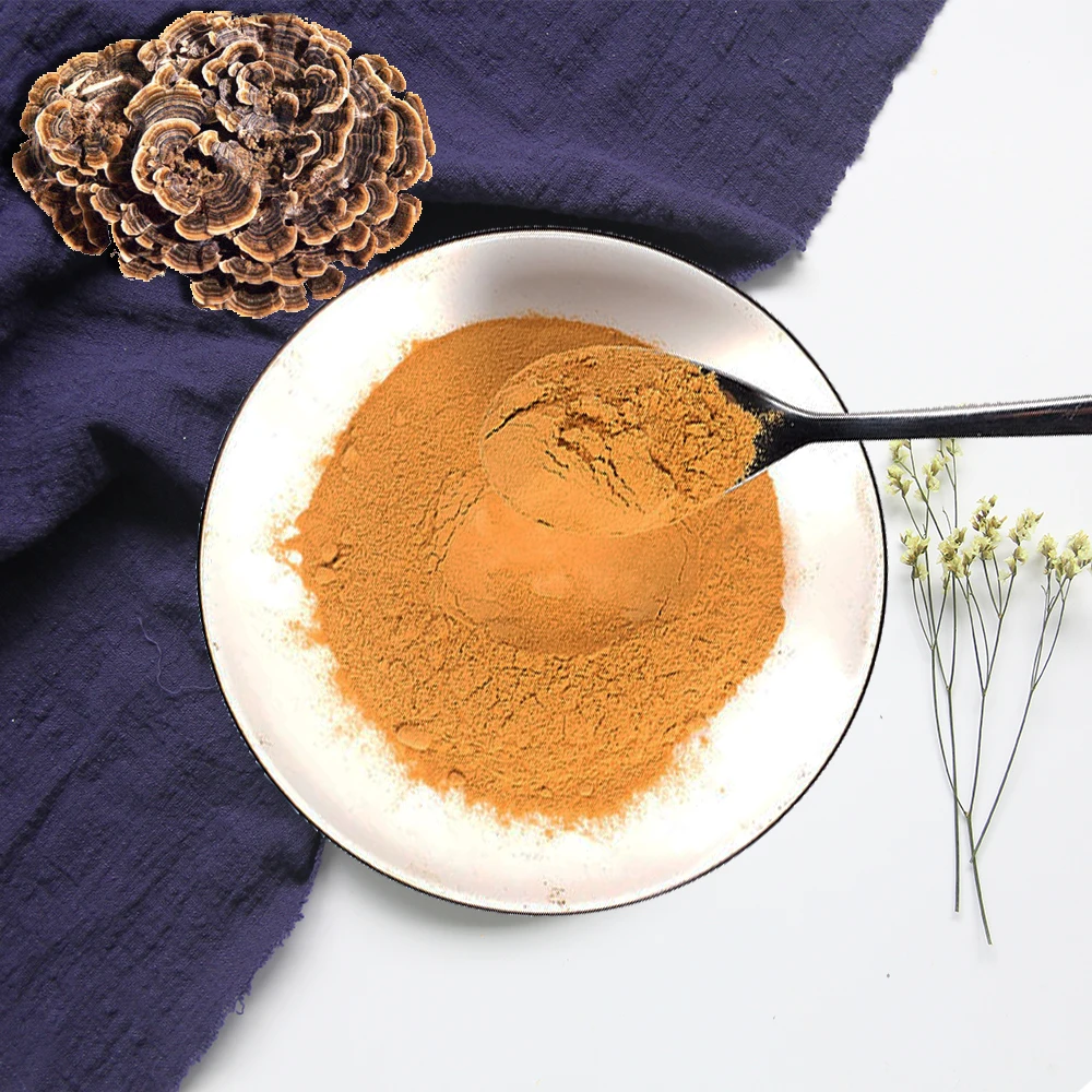 Plant Extract Nutritional Supplement Coriolus Versicolor Organic High Quality Pure Turkey Tail Mushroom Extract