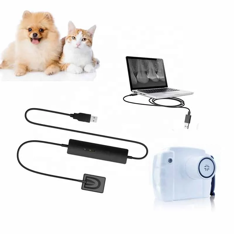 Promotion ! Medical Dental Equipment Products Dental Digital rvg X-Ray Sensor with xray Machine